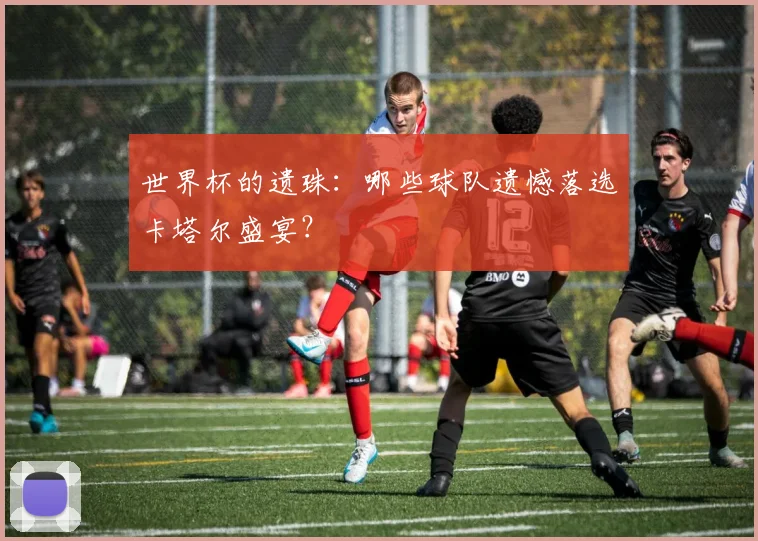 世界杯的遗珠：哪些球队遗憾落选卡塔尔盛宴？